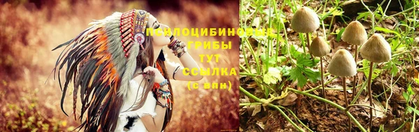 спайс Арсеньев