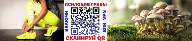 что такое наркотик  Ейск  Псилоцибиновые грибы GOLDEN TEACHER 
